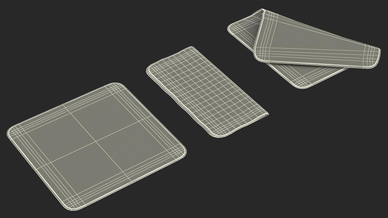 Polishing Cloth Set 3D model