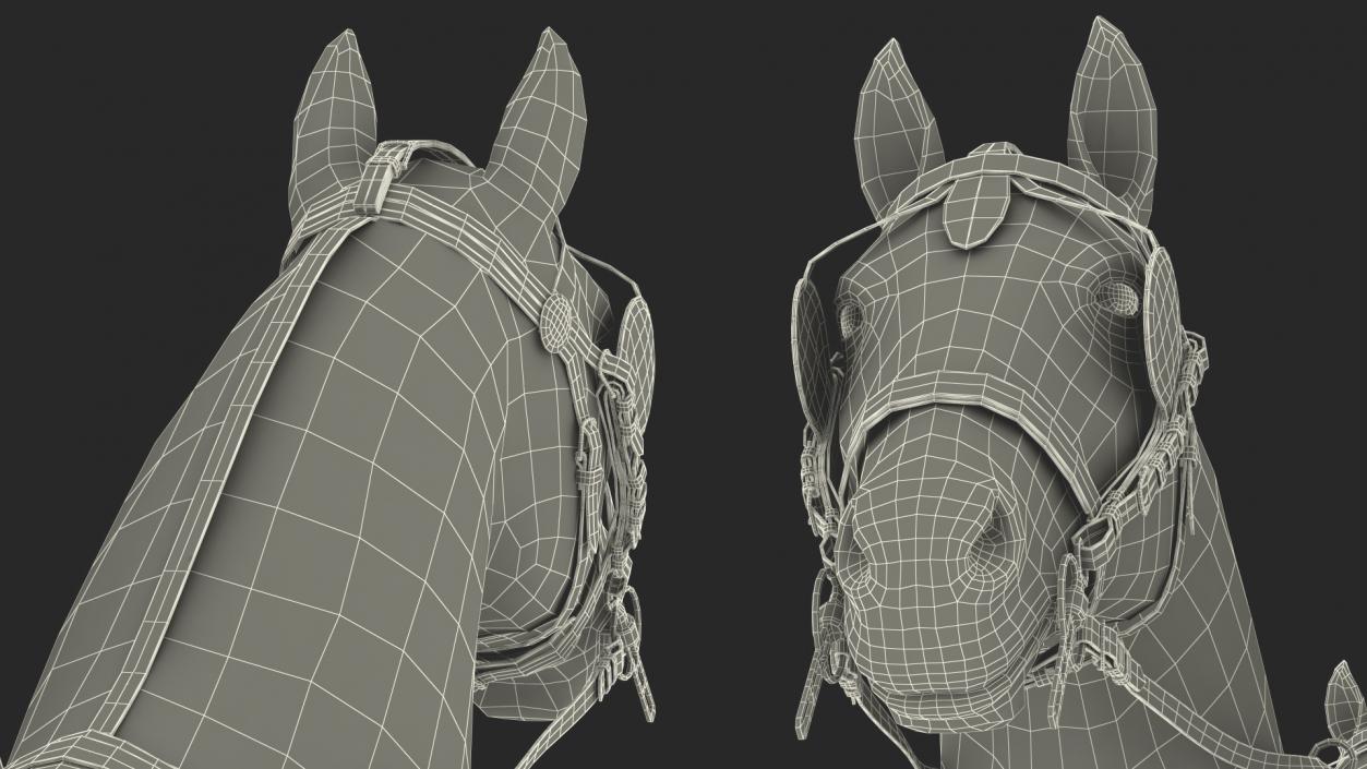 3D model Team of Four Leather Harness Rigged