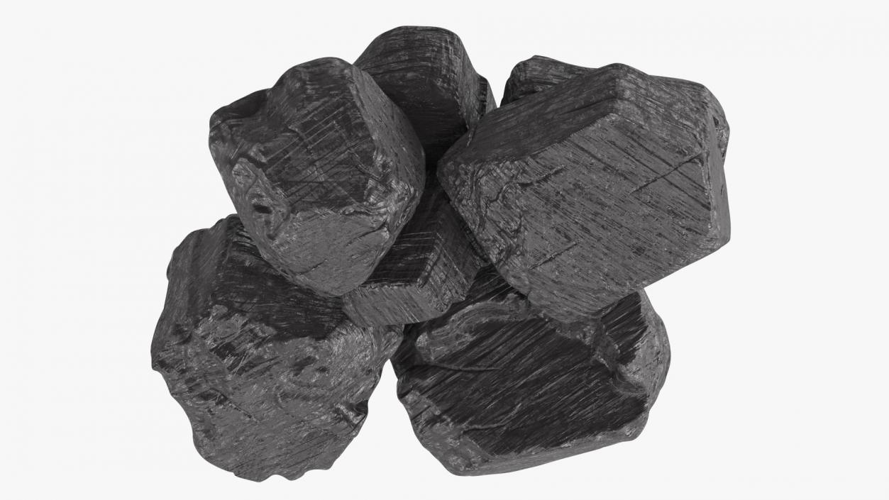 3D model Bituminous Coal Pile