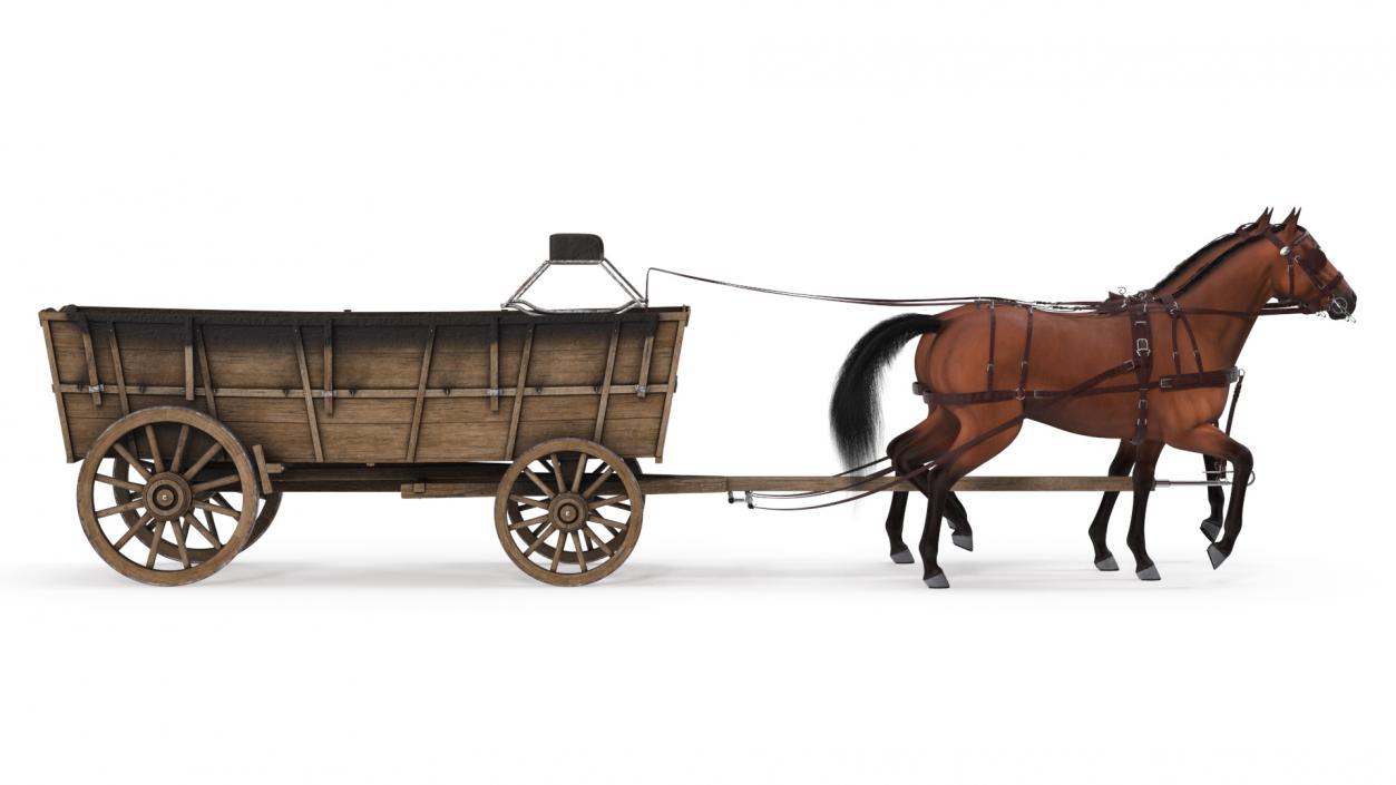 3D Open Wagon with Horses fur