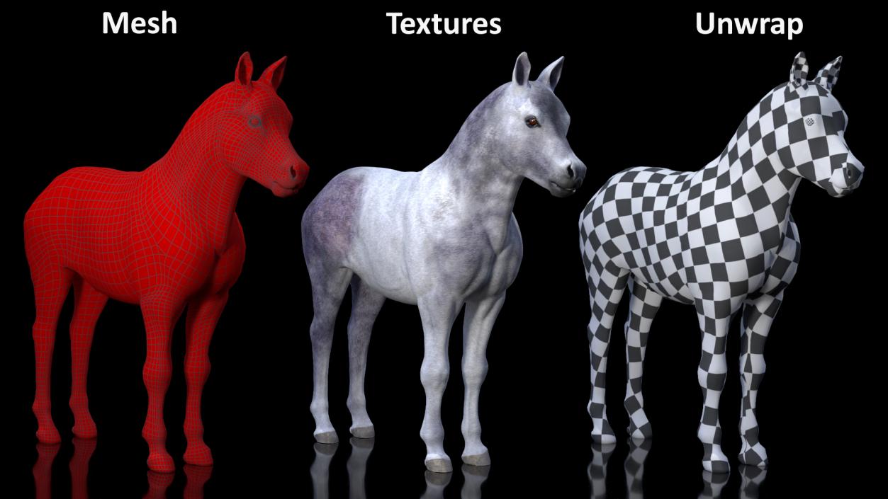 3D model Shetland Pony White Rigged for Cinema 4D