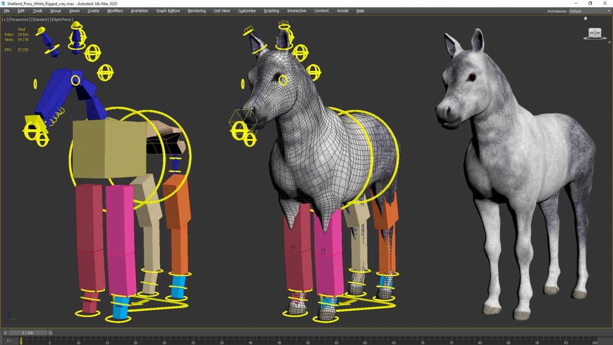 3D model Shetland Pony White Rigged for Cinema 4D