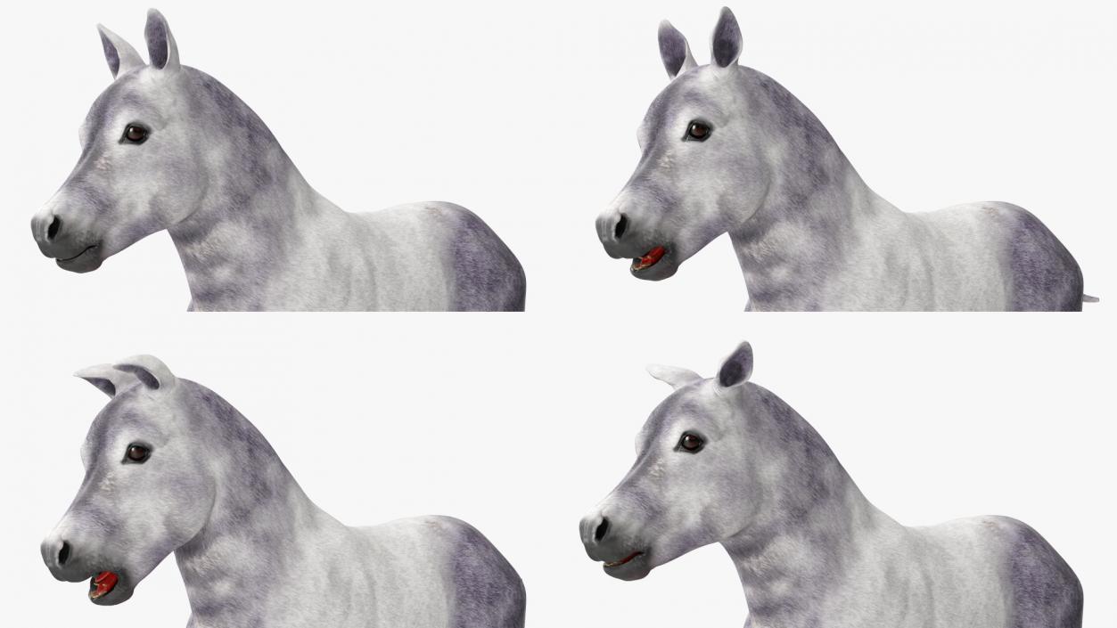 3D model Shetland Pony White Rigged for Cinema 4D