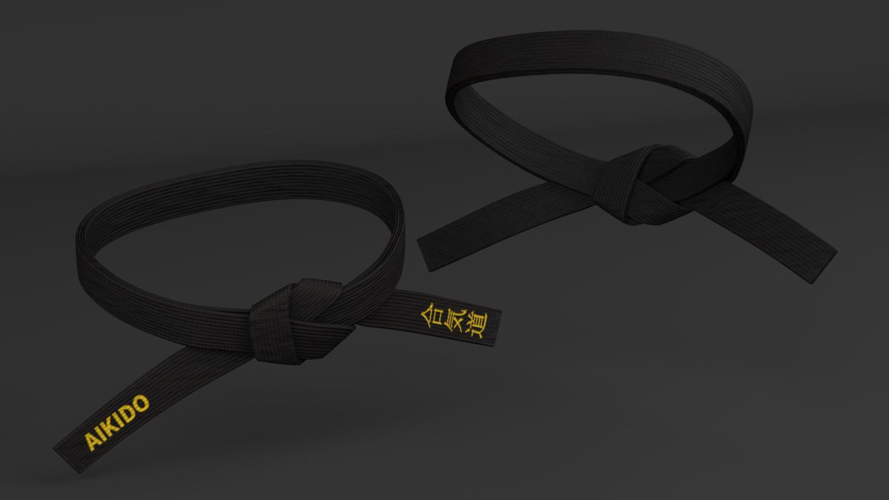 Aikido Black Waist Obi Belt 3D