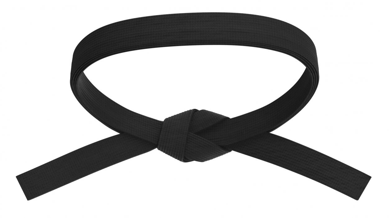 Aikido Black Waist Obi Belt 3D