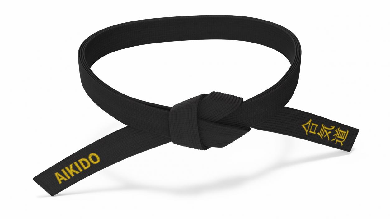 Aikido Black Waist Obi Belt 3D