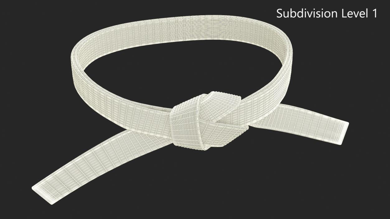 Aikido Black Waist Obi Belt 3D