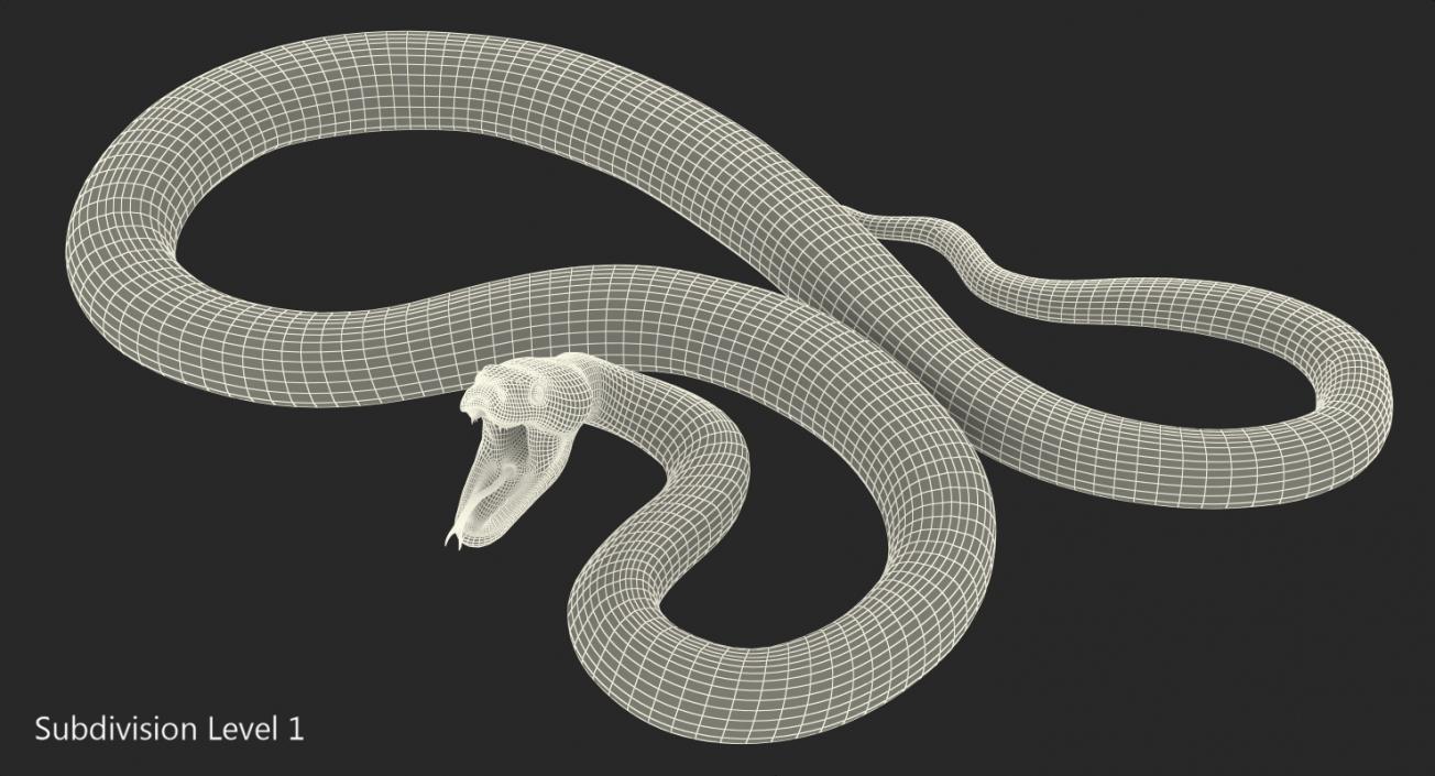 3D model Brown Python Snake Rigged