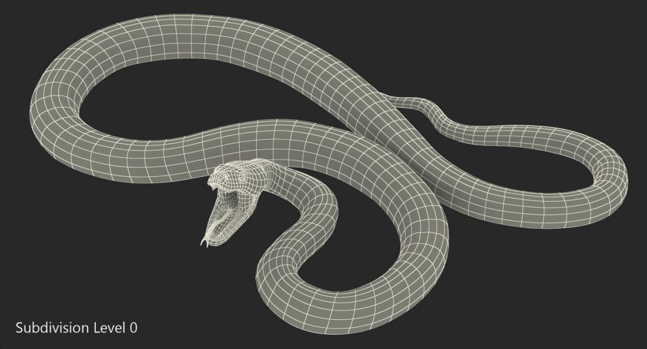 3D model Brown Python Snake Rigged