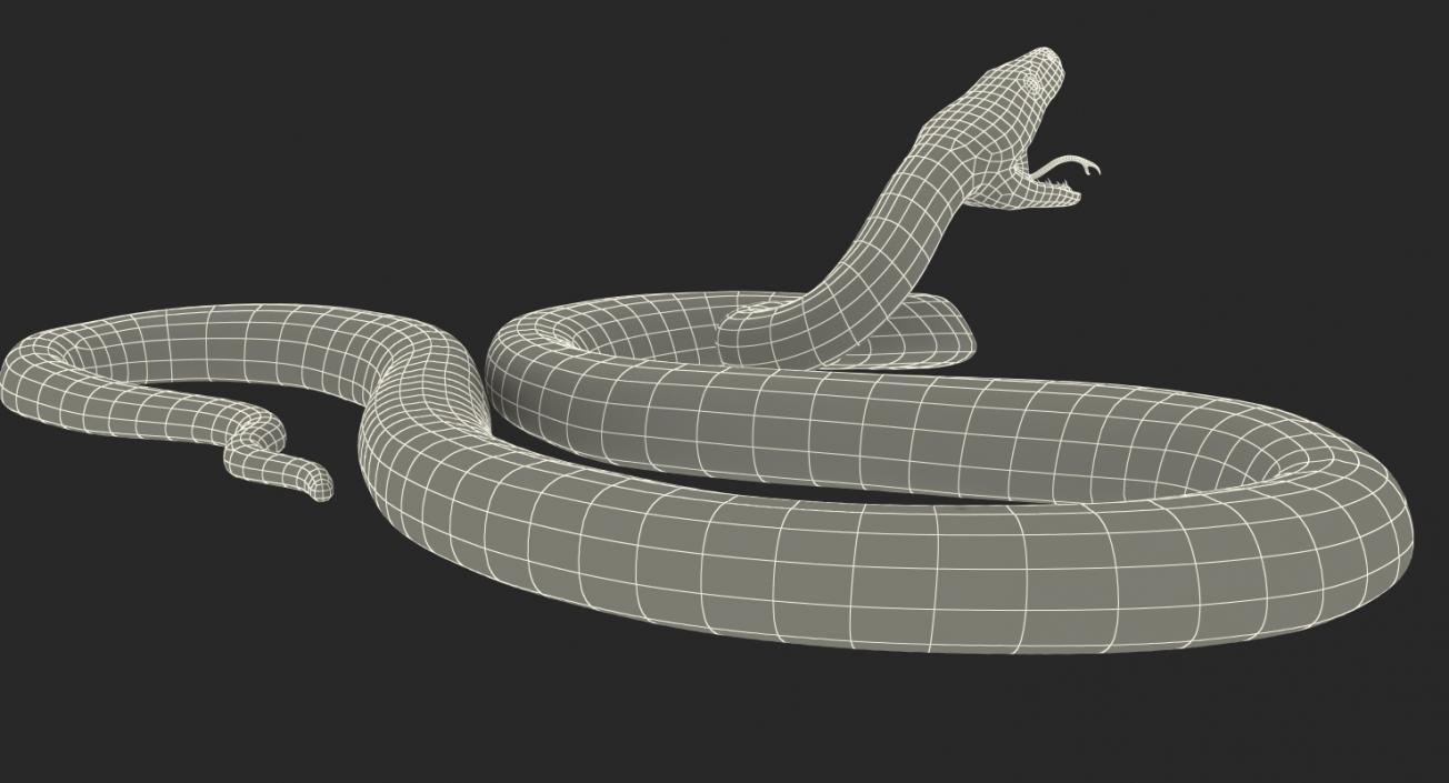 3D model Brown Python Snake Rigged