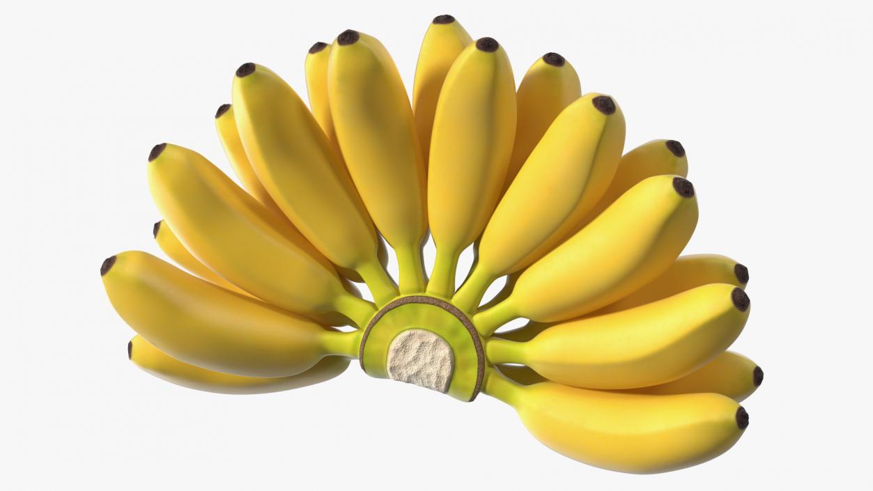 Yellow Banana Bunch 3D model