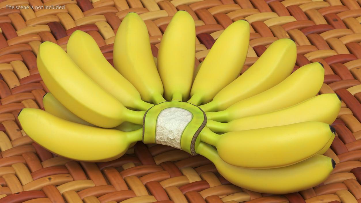 Yellow Banana Bunch 3D model