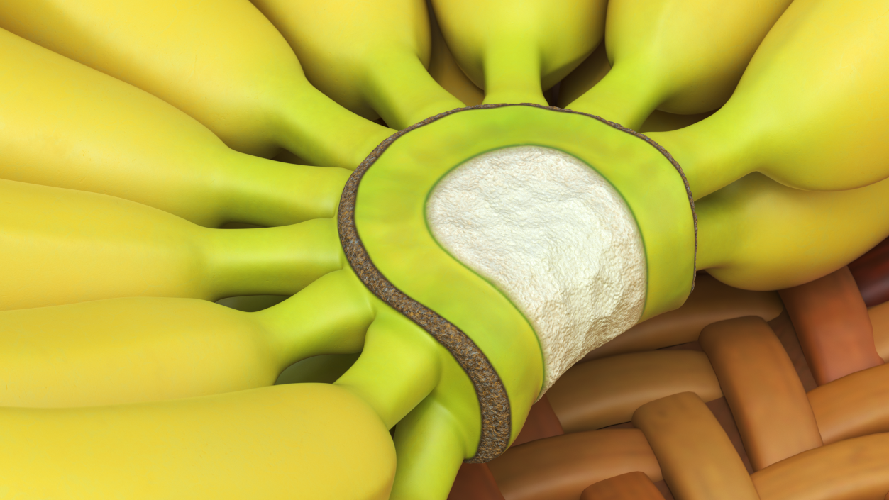 Yellow Banana Bunch 3D model