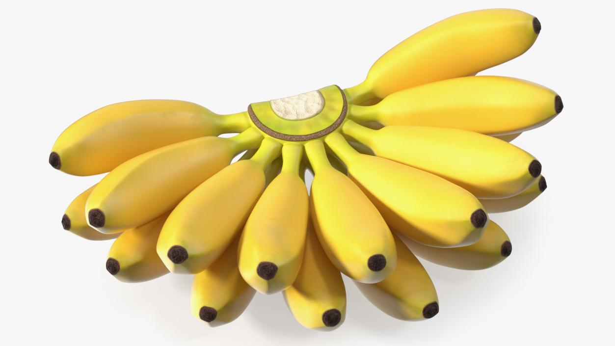 Yellow Banana Bunch 3D model