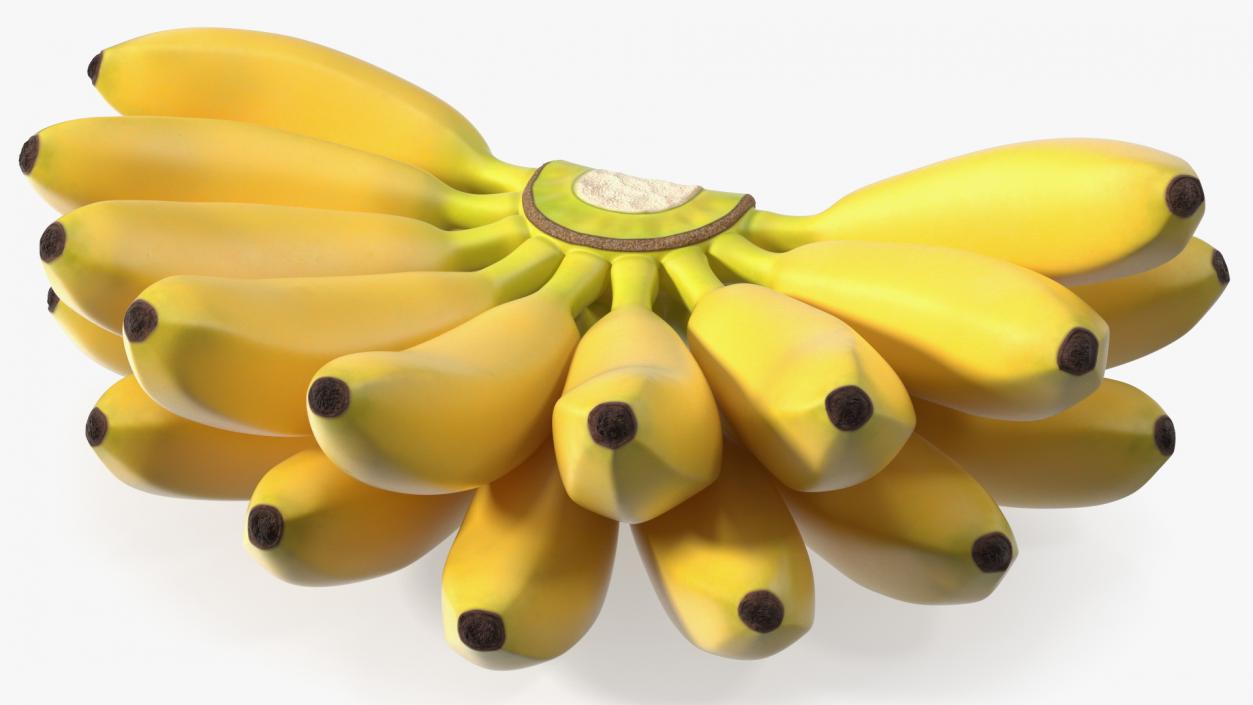 Yellow Banana Bunch 3D model