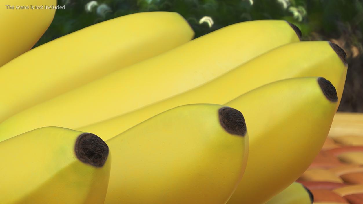 Yellow Banana Bunch 3D model