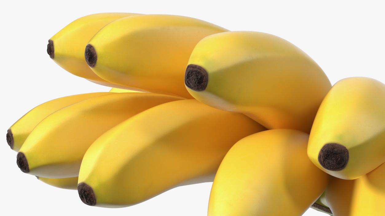 Yellow Banana Bunch 3D model