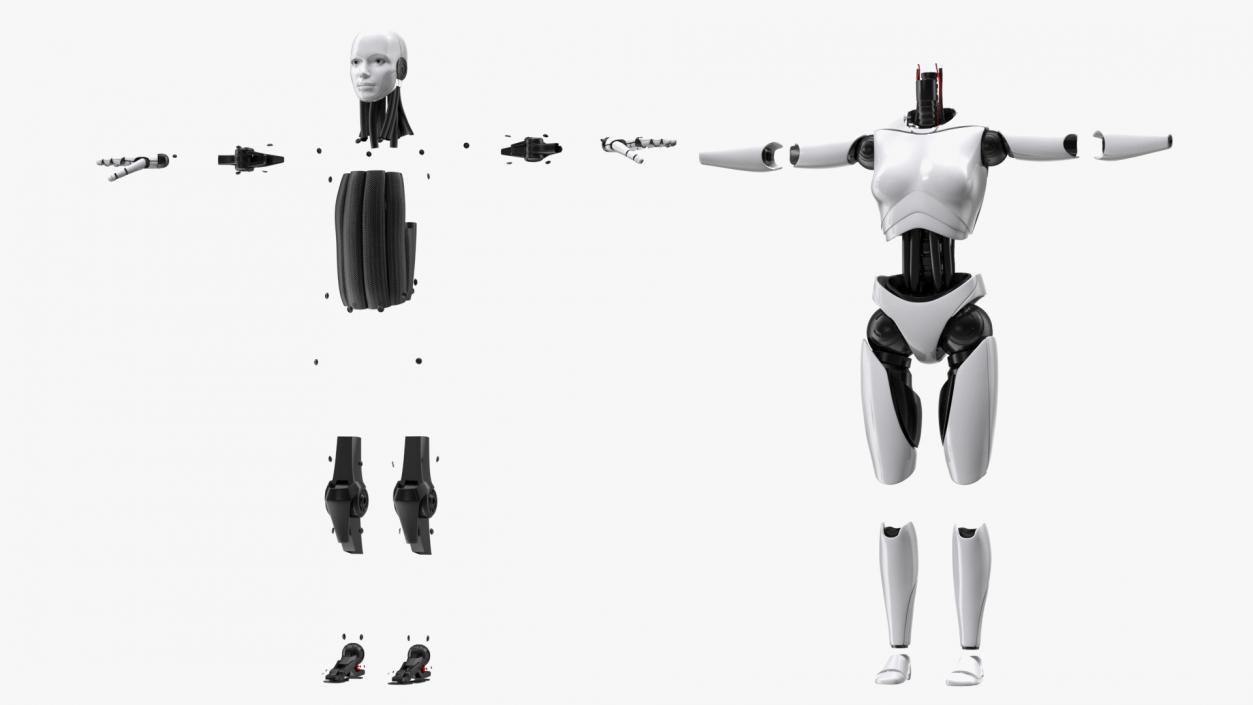 3D model Cyborg Female Rigged