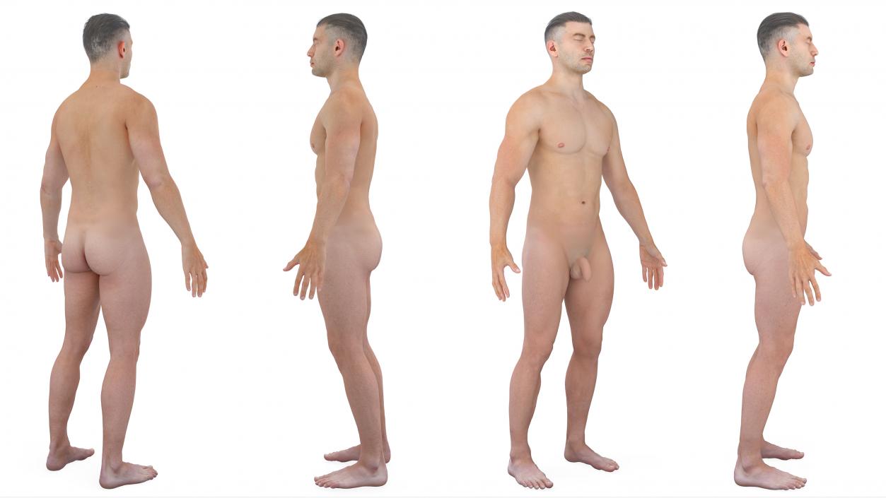 3D Realistic Full Body Anatomy Collection model