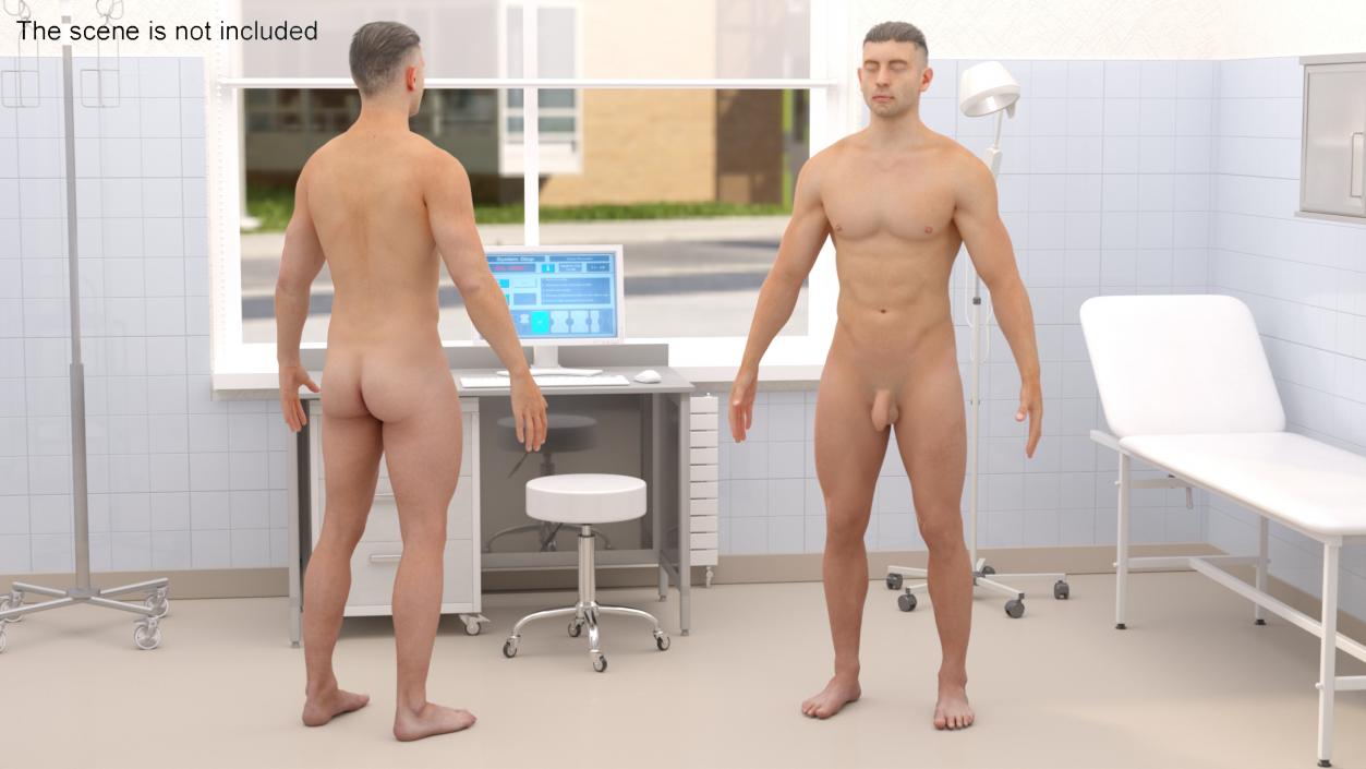 3D Realistic Full Body Anatomy Collection model