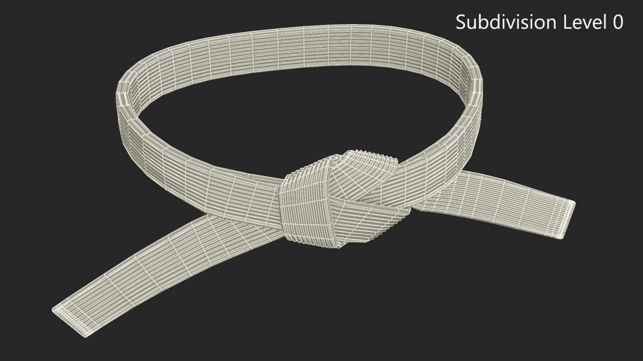 White Waist Aikido Belt Obi 3D