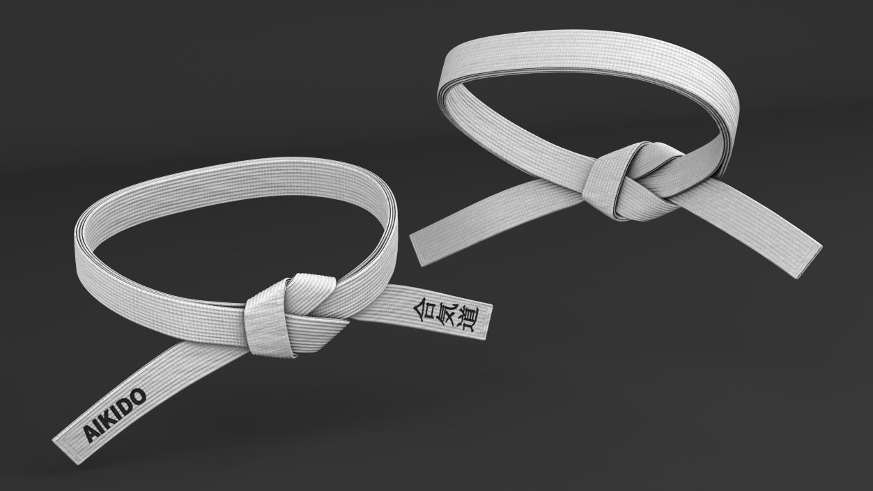 White Waist Aikido Belt Obi 3D