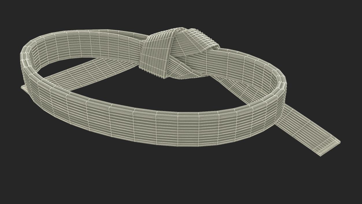 White Waist Aikido Belt Obi 3D