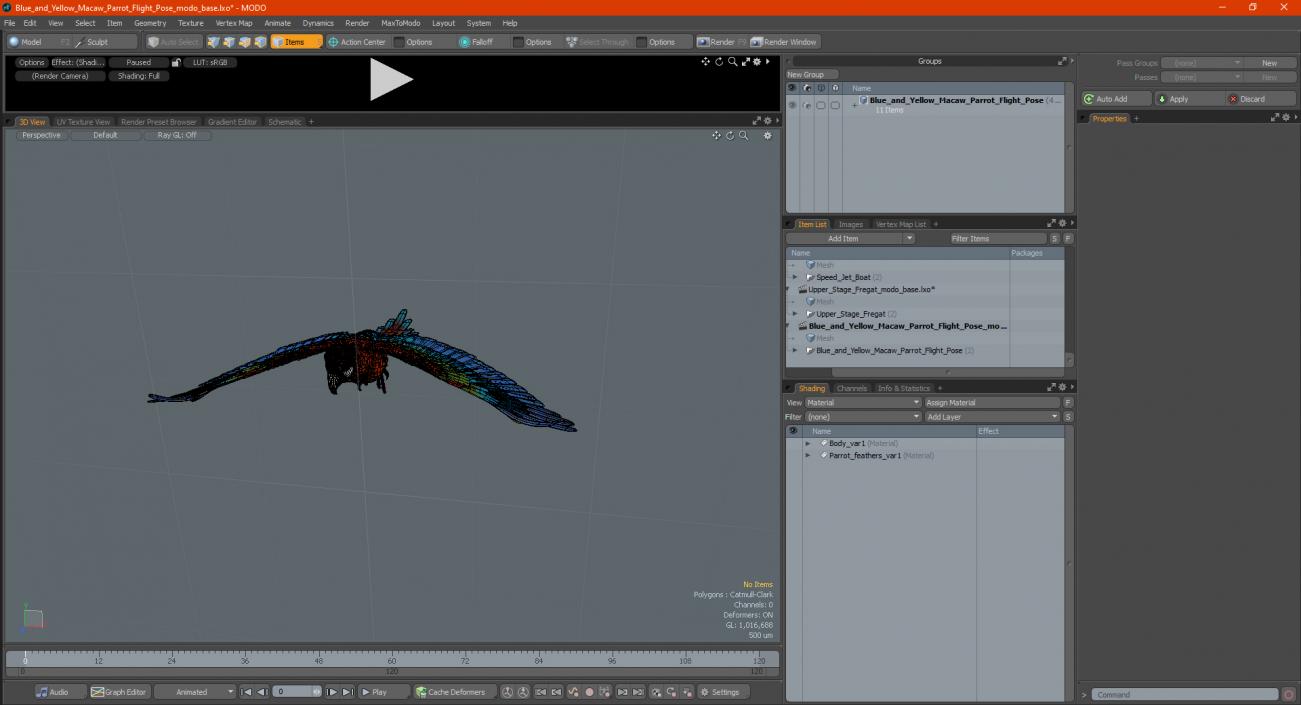 3D model Blue and Yellow Macaw Parrot Flight Pose