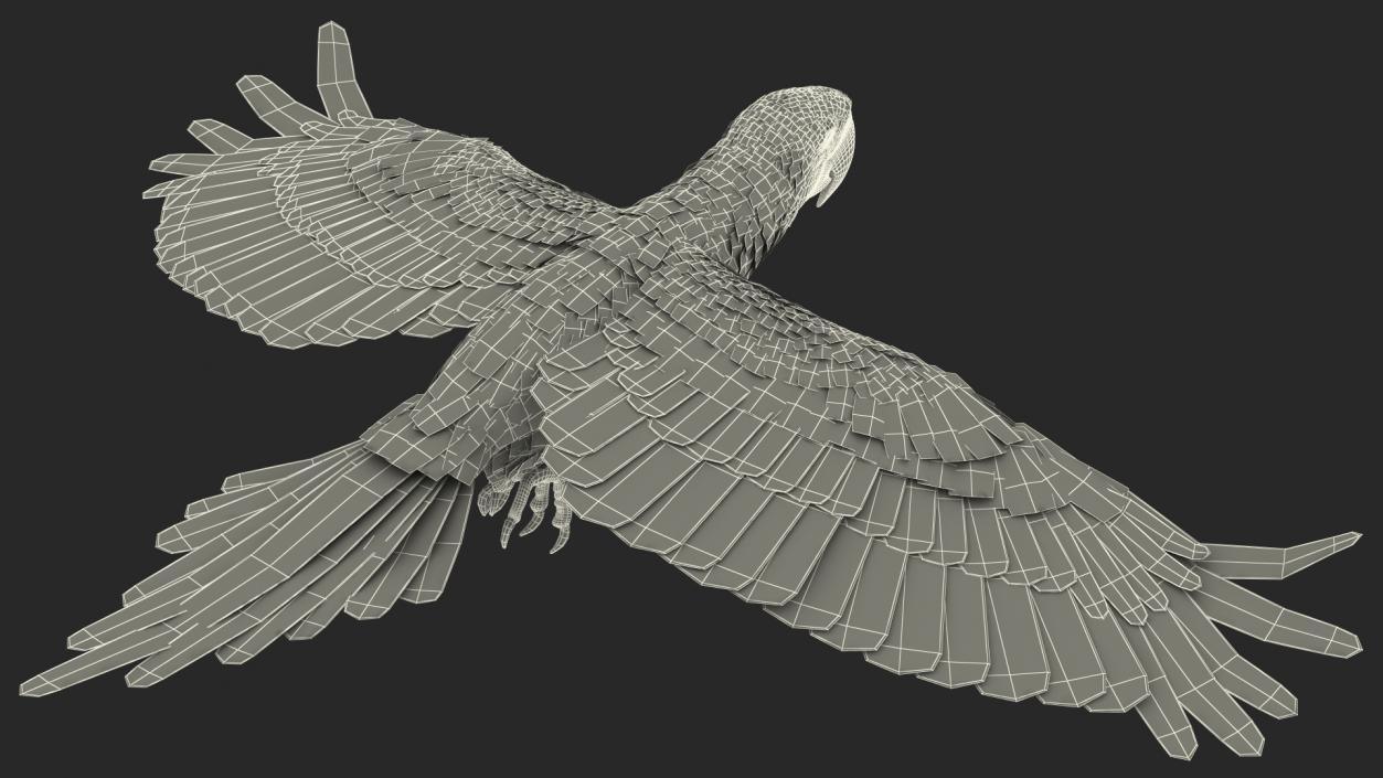 3D model Blue and Yellow Macaw Parrot Flight Pose