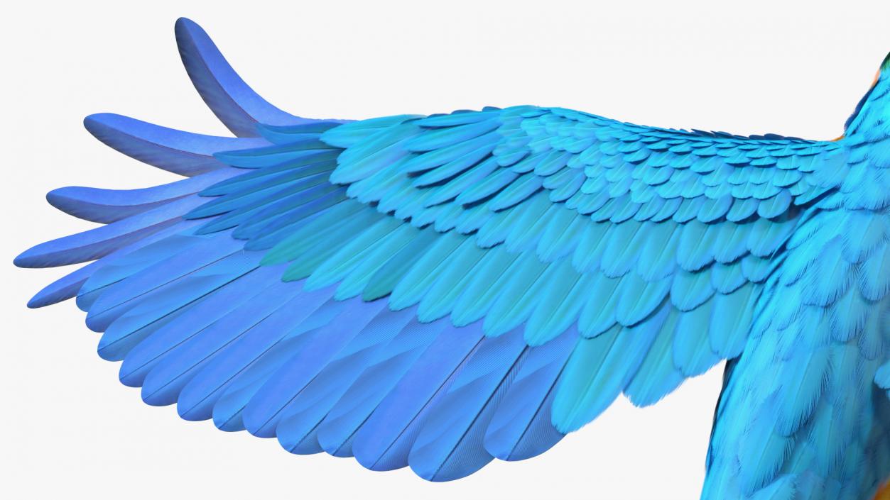 3D model Blue and Yellow Macaw Parrot Flight Pose