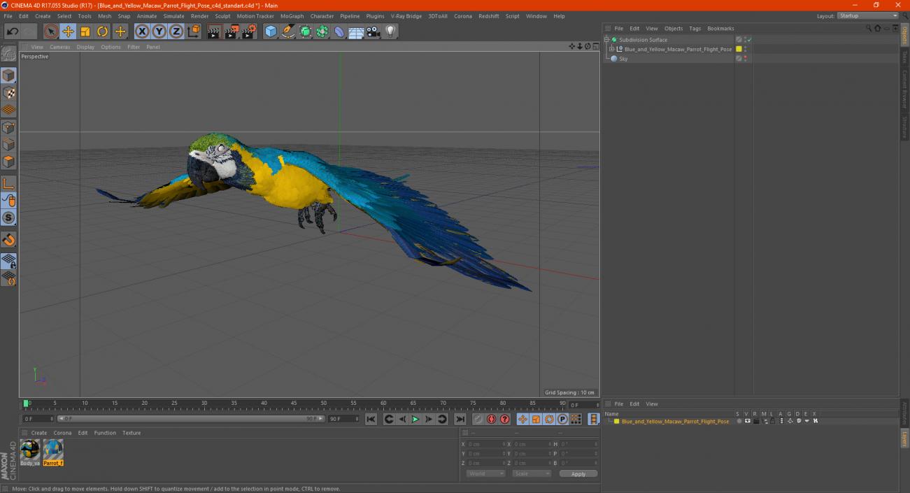 3D model Blue and Yellow Macaw Parrot Flight Pose