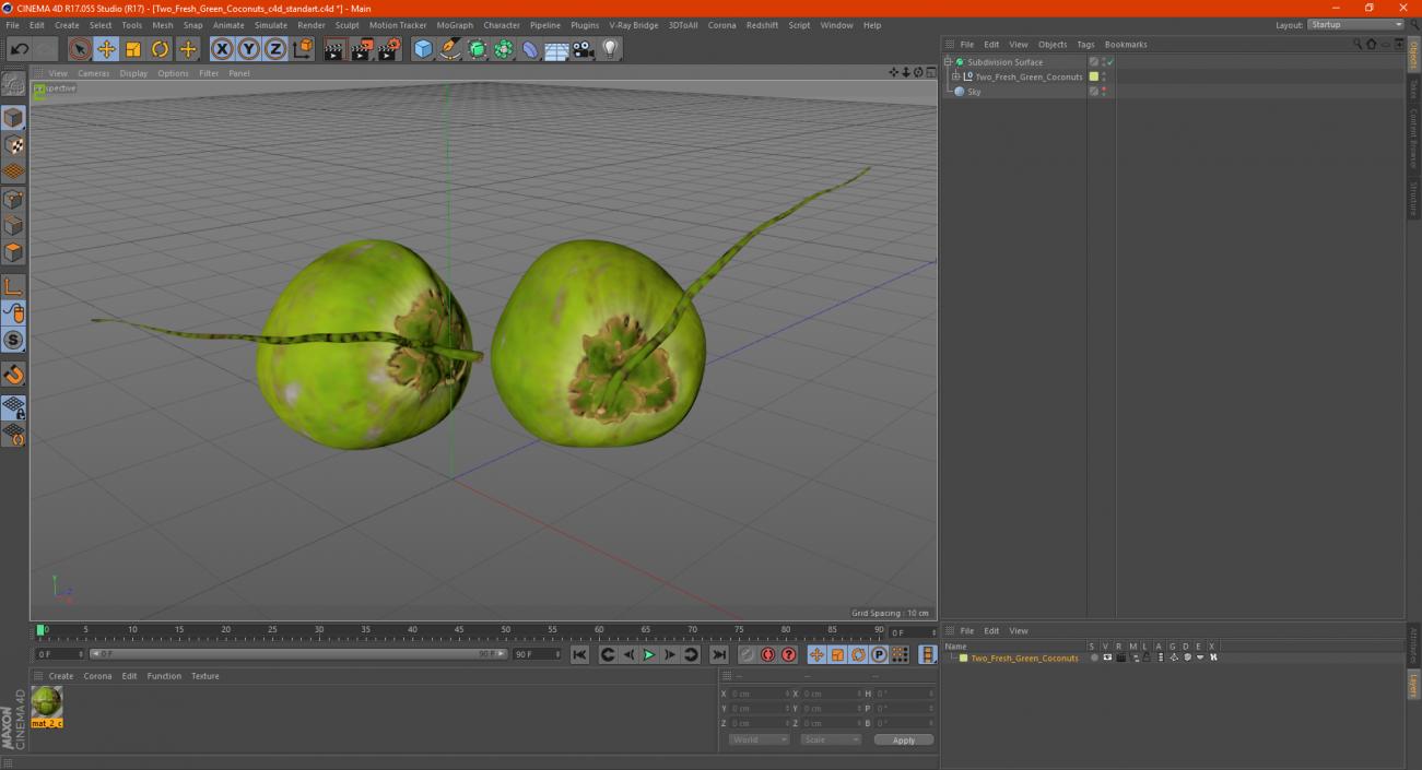 Two Fresh Green Coconuts 3D model