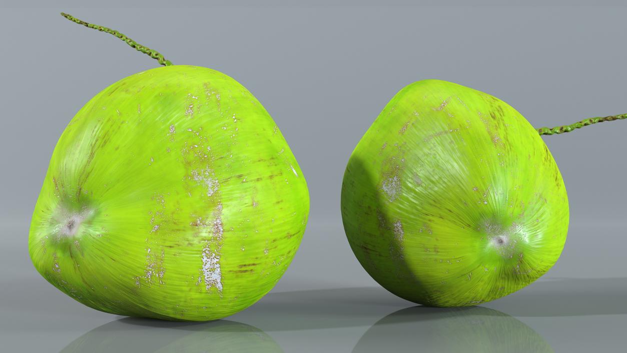 Two Fresh Green Coconuts 3D model