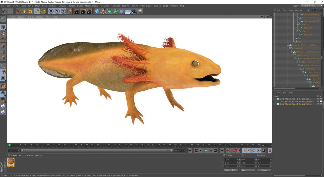 3D model Gold Albino Axolotl Rigged for Cinema 4D