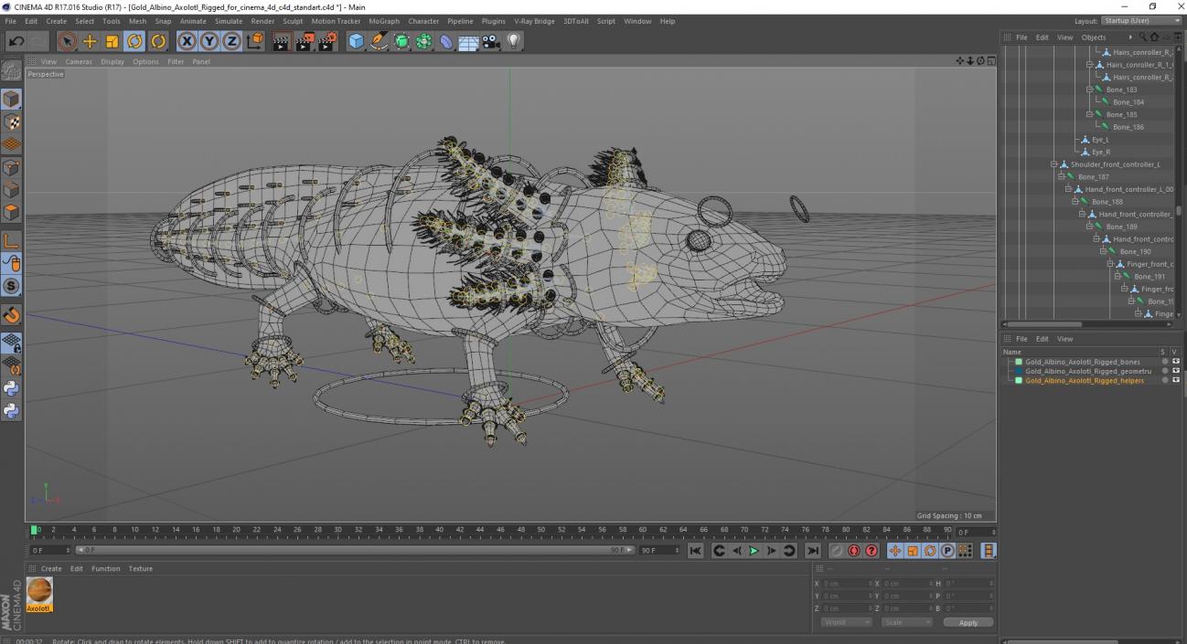 3D model Gold Albino Axolotl Rigged for Cinema 4D