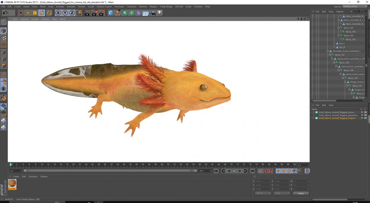 3D model Gold Albino Axolotl Rigged for Cinema 4D