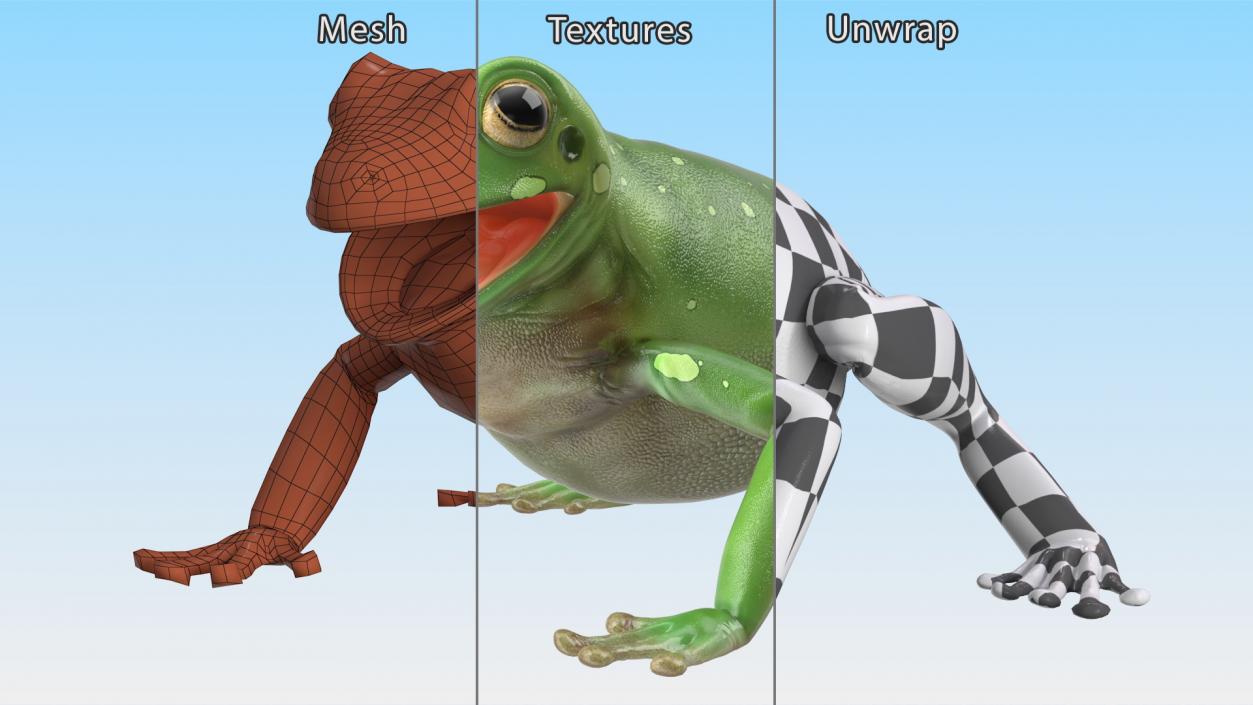 Realistic Tree Frog 3D model