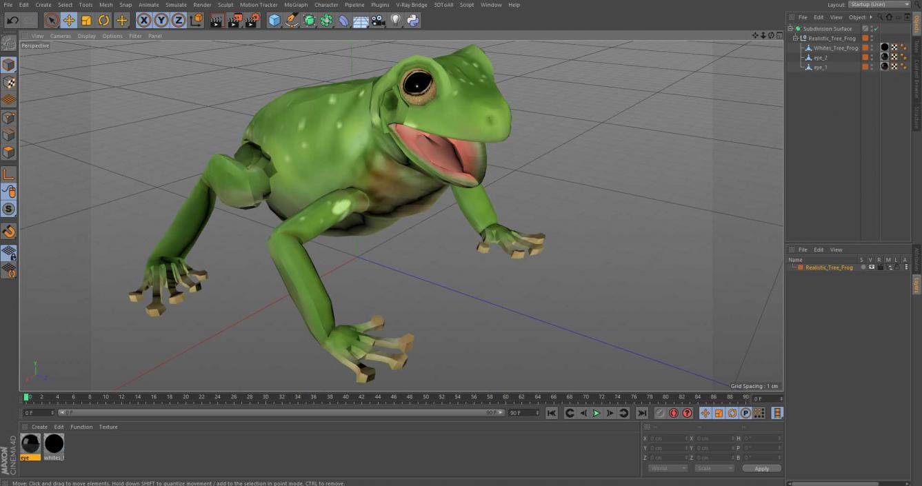 Realistic Tree Frog 3D model