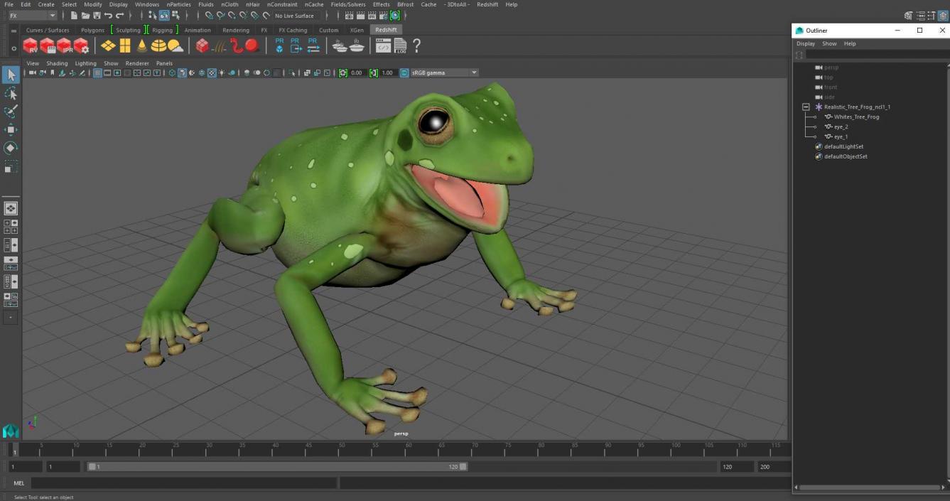 Realistic Tree Frog 3D model