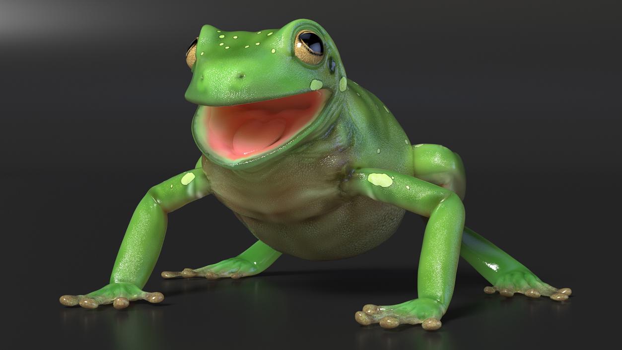 Realistic Tree Frog 3D model