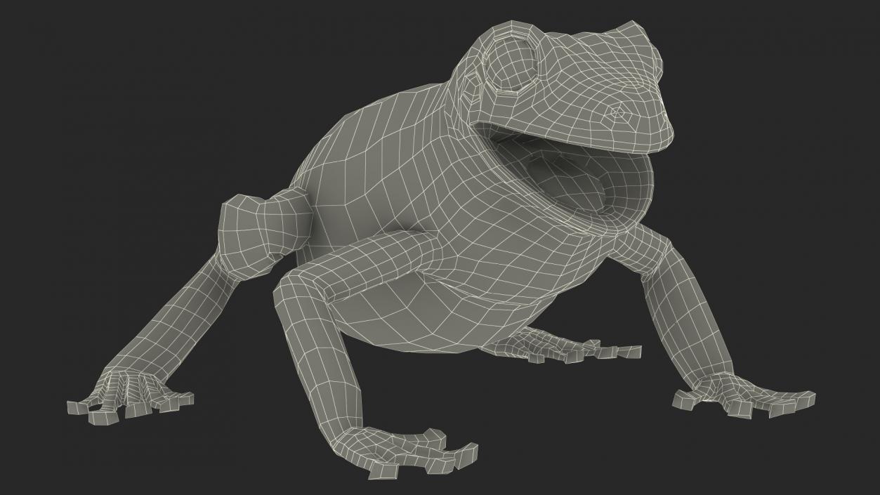 Realistic Tree Frog 3D model