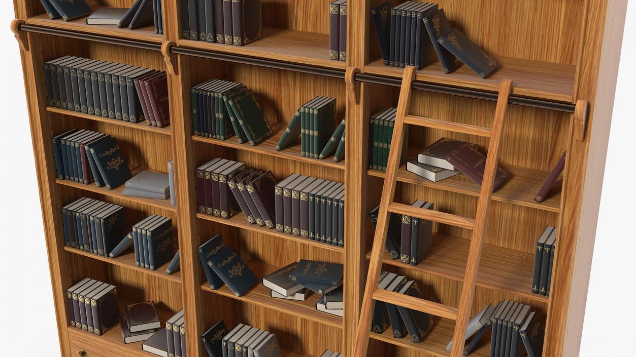 Wood Library Bookcase with Books 3D