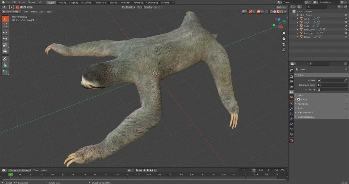 Sloth Crawls 3D