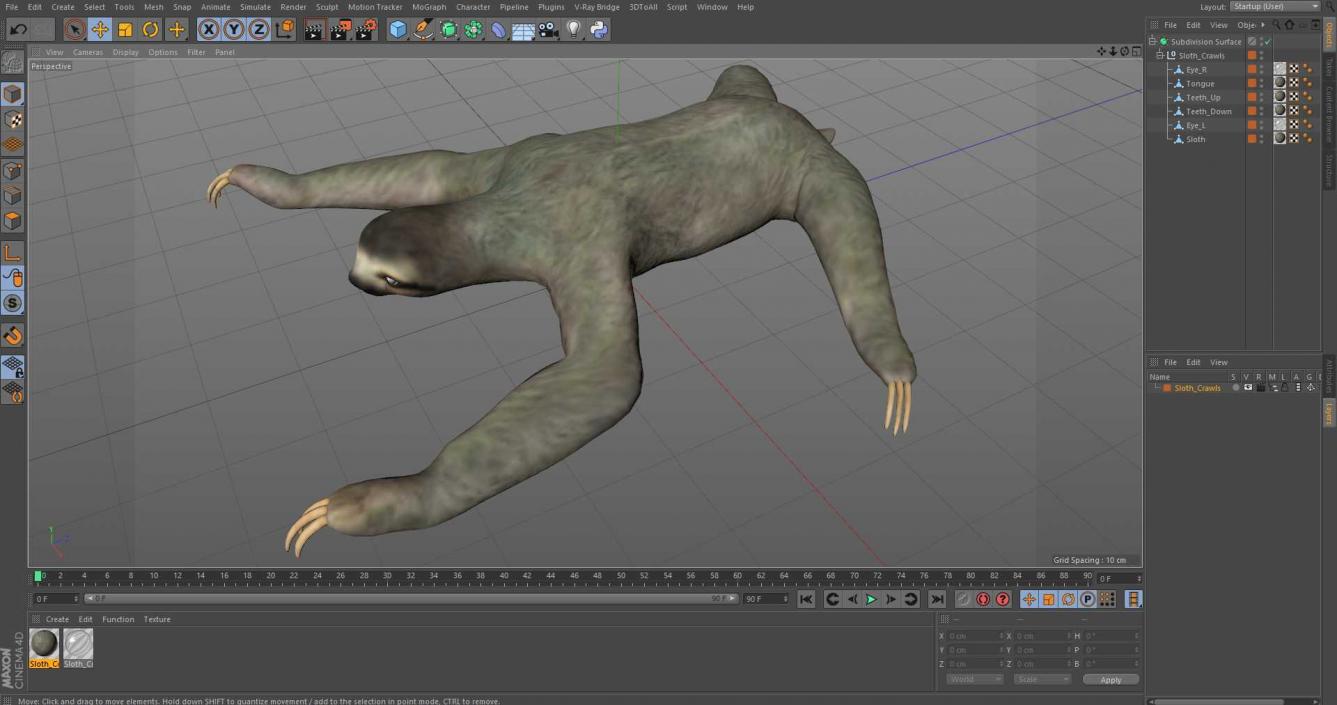 Sloth Crawls 3D