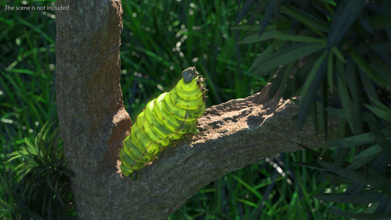 3D model Silkworm Green Fur Rigged