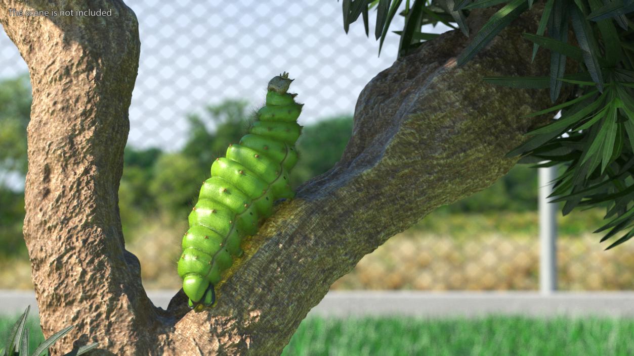 3D model Silkworm Green Fur Rigged