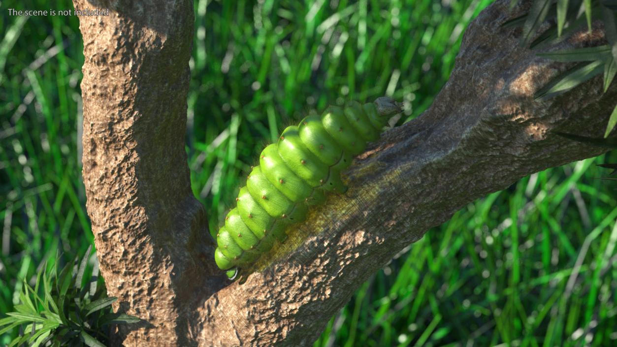 3D model Silkworm Green Fur Rigged