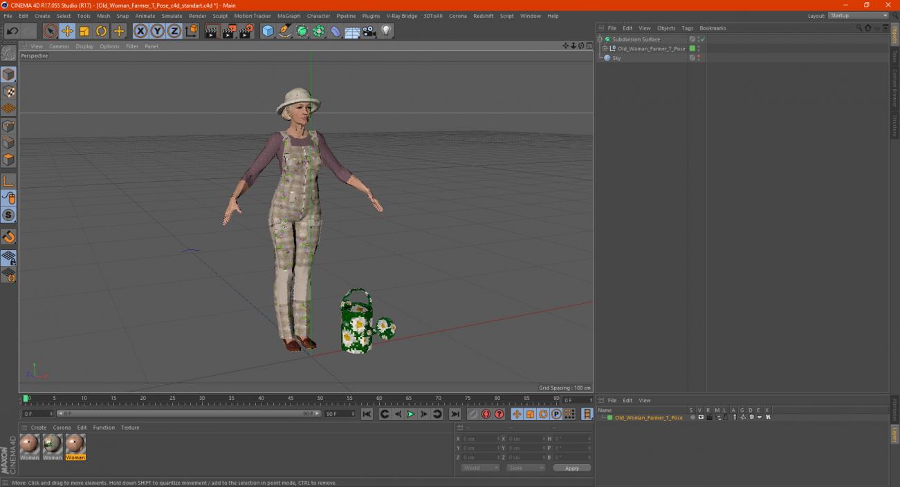 3D Old Woman Farmer T Pose model