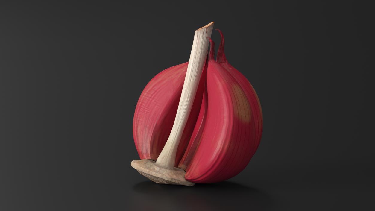 3D Half Head of Garlic Red model