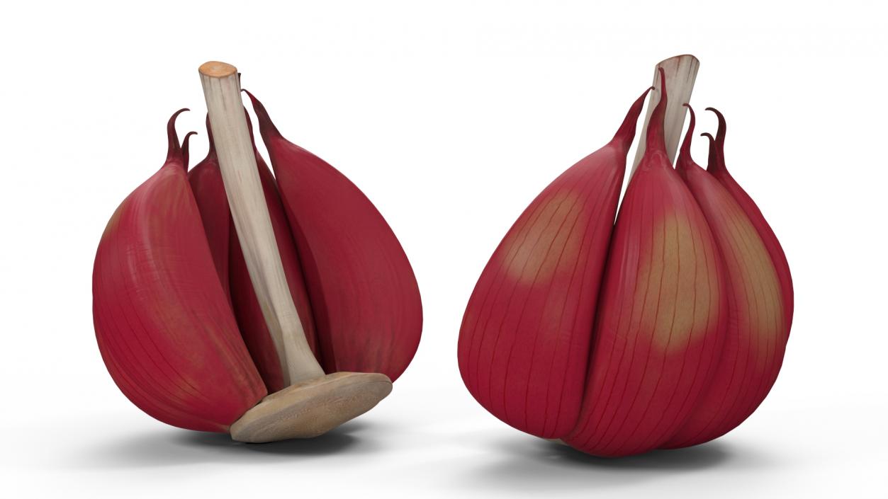 3D Half Head of Garlic Red model